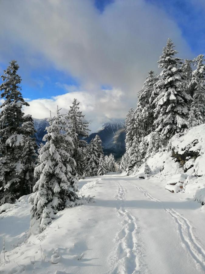 Haus Lenz Ferienwohnungen - Fam Ostermann Puchberg am Schneeberg Εξωτερικό φωτογραφία