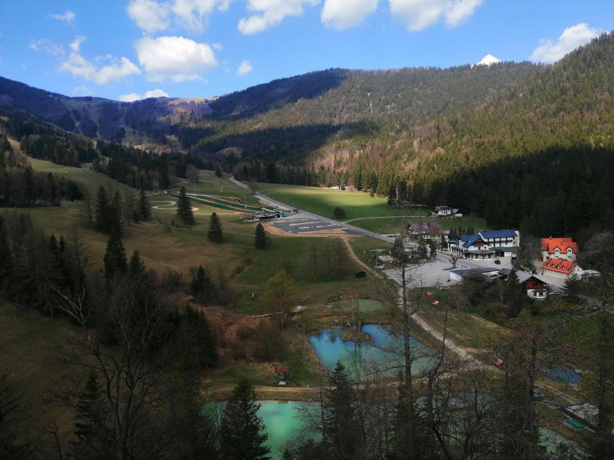 Haus Lenz Ferienwohnungen - Fam Ostermann Puchberg am Schneeberg Εξωτερικό φωτογραφία