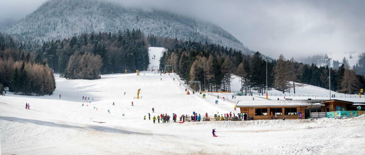 Haus Lenz Ferienwohnungen - Fam Ostermann Puchberg am Schneeberg Εξωτερικό φωτογραφία